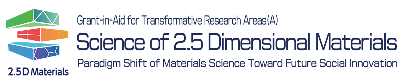 2.5D Materials