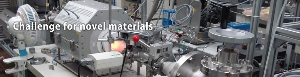 Challenge for novel materials