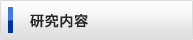 研究内容